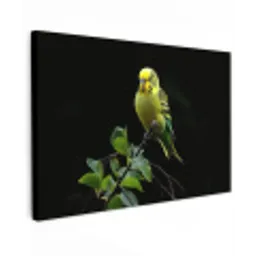 Parkiet - Tak - Bladeren - Geel Tuinposter op houten frame 2 cm dik klein -3d