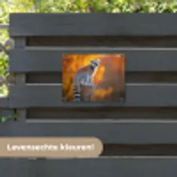 Ringstaartmaki - Boomstronk - Gestreept tuinposter los doek klein -sfeer3