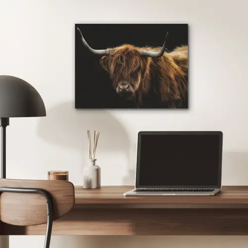 Schotse Hooglander - Horens - Zwart - Dieren - Natuur - Wild - Koe PET vilt klein -sfeer5