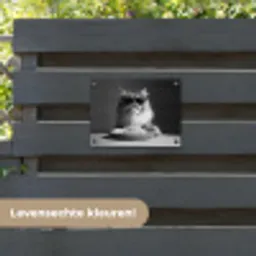 Langharige kat - Zonnebril - Spaghetti - Humor - Zwart - wit tuinposter los doek klein -sfeer3