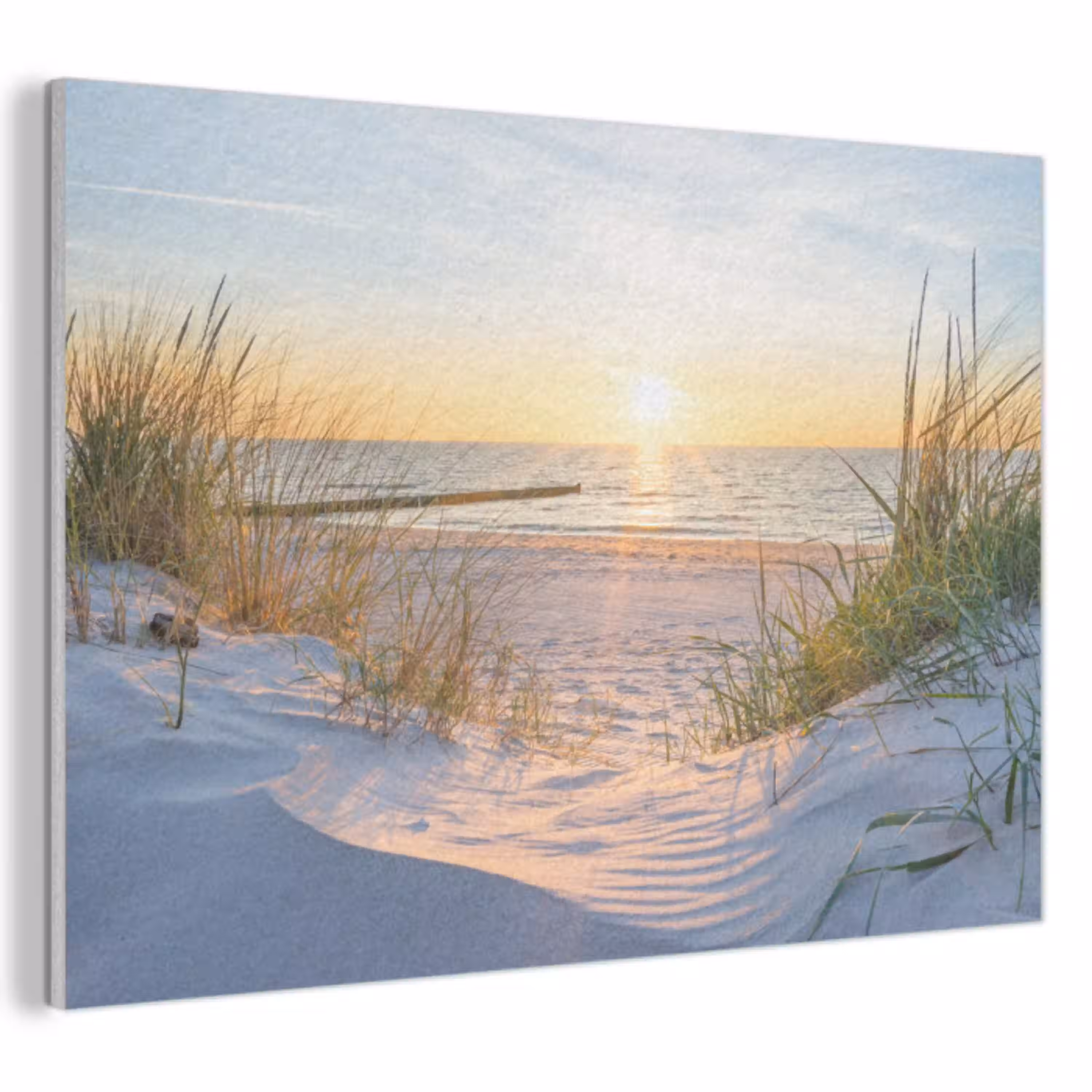 Strand - Zon - Duin - Gras - Zand - Horizon PET vilt klein -3d
