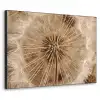 Paardenbloem - Bloemen - Natuur - Bruin Textielframe zwart klein -3d