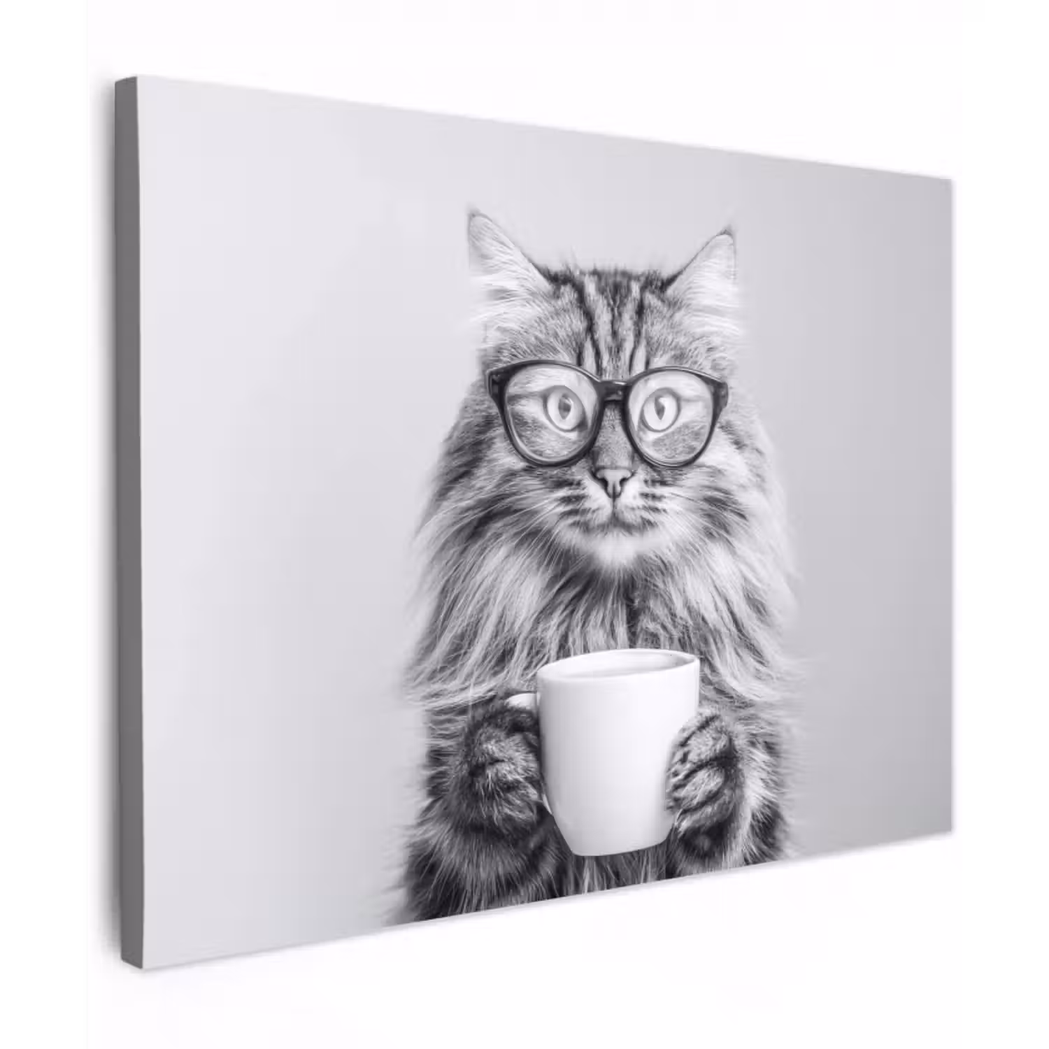 Leinwandbild - Katze - Brille - Becher - Flauschig