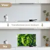 Groente - Sla - Groen keuken achterwand spatscherm klein -voor_na_NL