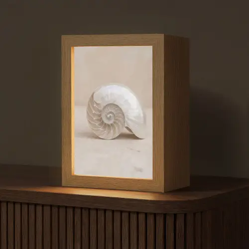 Schelp - Spiraal - Beige Light Box met kabel (Tafellamp) klein -z3d_website