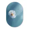 Paardenbloem - Wind - Blauw Wandcirkel Ovaal Forex klein -3d