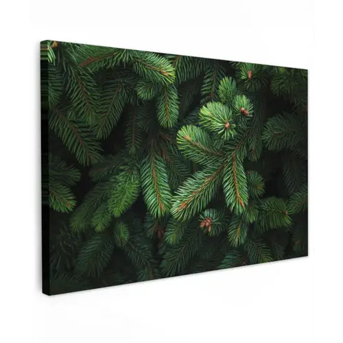Sparrentakken - Knoppen - Naalden - Groen canvas 2cm klein -z3d