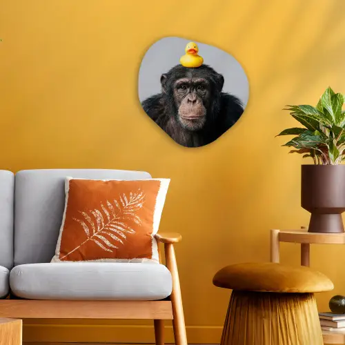 Chimpansee - Badeend - Grijs Wandcirkel Organisch Forex 3mm klein -sfeer4