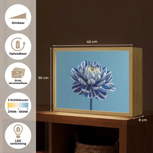 Bloem - Blauw - Bloemblaadjes - Streepjes Light Box met batterij (Wandlamp) middel -USP_websiteoverzichtNL