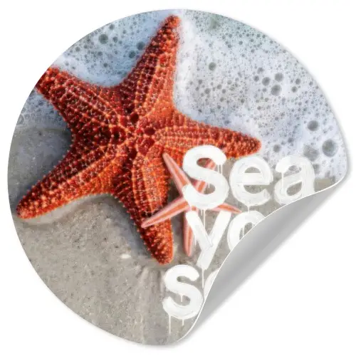 Sea you soon - Zeester - Zee Wandcirkel behangsticker klein -3d