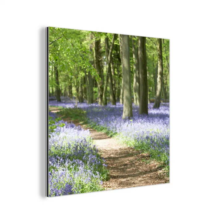Bos - Pad - Bloemen - Paars - Groen - Natuur aluminium wit klein -3d