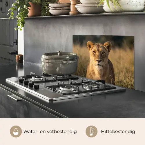 Leeuwin - Gras - Geel keuken achterwand spatscherm klein -usp_NL