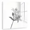Lelies - Elegant - Zwart - Wit plexiglas 5mm klein -zzzproduct_nieuw
