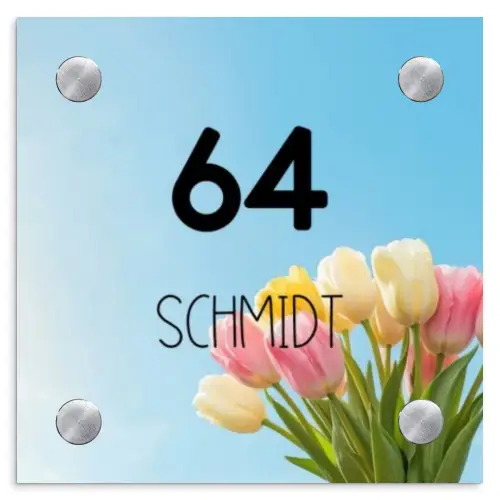 Gekleurde tulpen lucht - Modern Naambord Vierkant klein -3d