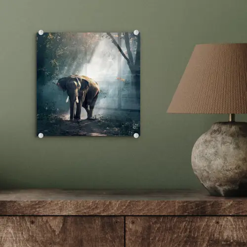 Olifant - Dieren - Licht - Bos - Natuur - Wilde dieren plexiglas 5mm klein -sfeer3