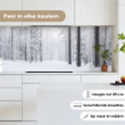 Bos - Sneeuw - Pad - Winter - Stilte keuken achterwand 2 middel -sfeer4_NL