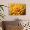 Geel - Chrysant - Zachtheid canvas 2cm klein -sfeer1