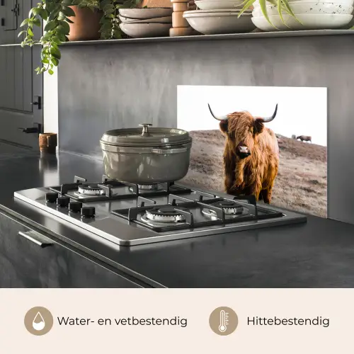 Schotse hooglander - Landschap - Koe - Bruin - Dieren - Natuur keuken achterwand spatscherm klein -usp_NL
