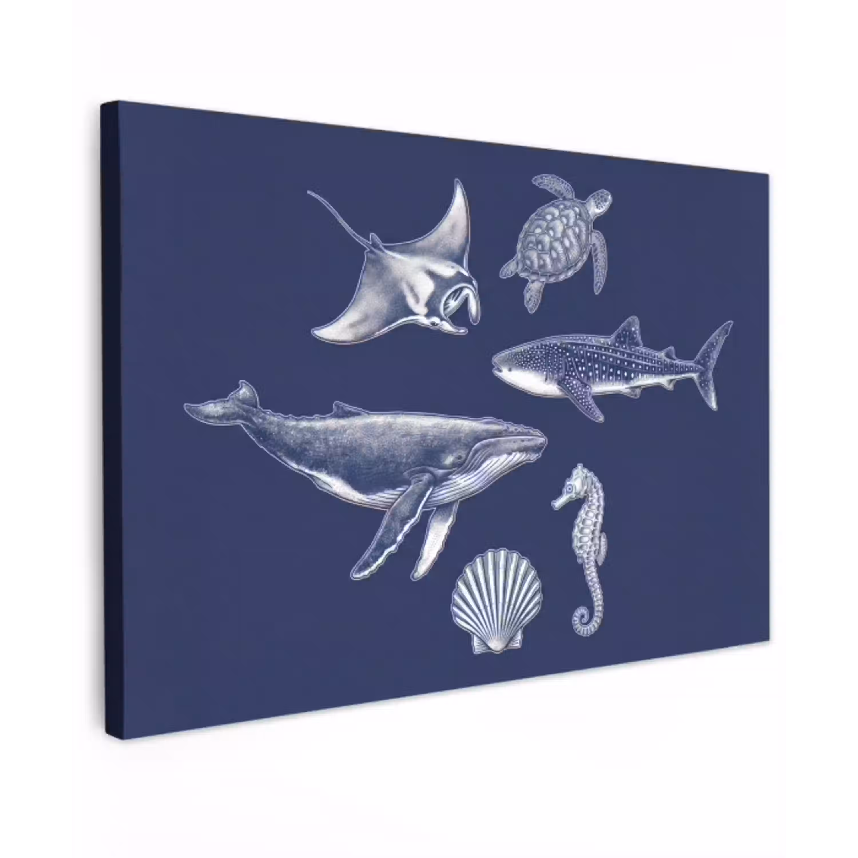Dieren - Zeeleven - Oceaan - Graveren - Blauw Tuinposter op houten frame 2 cm dik klein -3d