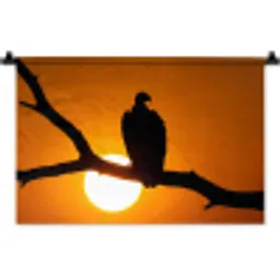 Gier - Tak - Zon - Oranje Wandkleed katoen klein -zz3d
