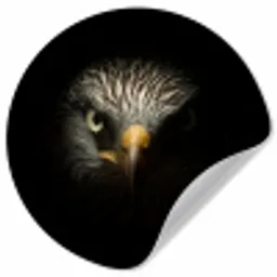 Vogel - Adelaar - Roofvogels - Oog - Snavel - Licht Wandcirkel behangsticker klein -3d