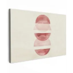 Minimalistisch - Cirkels - Roze Tuinposter op houten frame 2 cm dik klein -3d