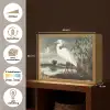 Reiger - Planten - Wolken - Wit Light Box met batterij (Wandlamp) middel -USP_websiteoverzichtNL