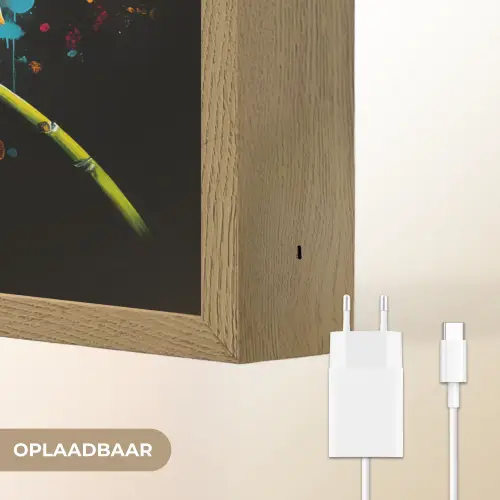 Orchidee - Graffiti - Kleurrijk - Bloemen - Abstract Light Box met batterij (Wandlamp) middel -USP_websiteoplaadbaarNL