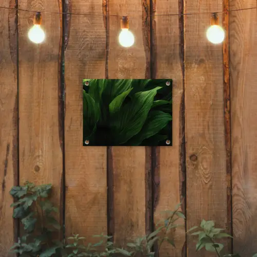 Bladeren - Schaduw - Groen - Textuur tuinposter los doek klein -sfeer1