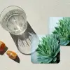 Vetplant - Bladeren - Groen - Wazig onderzetter kurk middel -sfeer4
