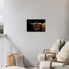 Hooglander tegen Zwarte Achtergrond Tuinposter op houten frame 2 cm dik klein -sfeer1