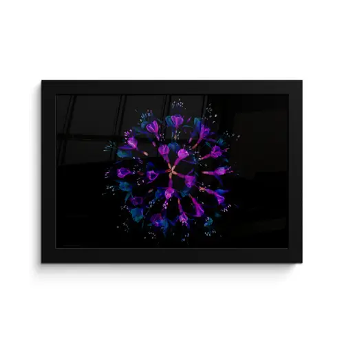 Bloem - Paars - Blauw - Macro - Zwart fotolijst zwart zonder passe partout klein -3d