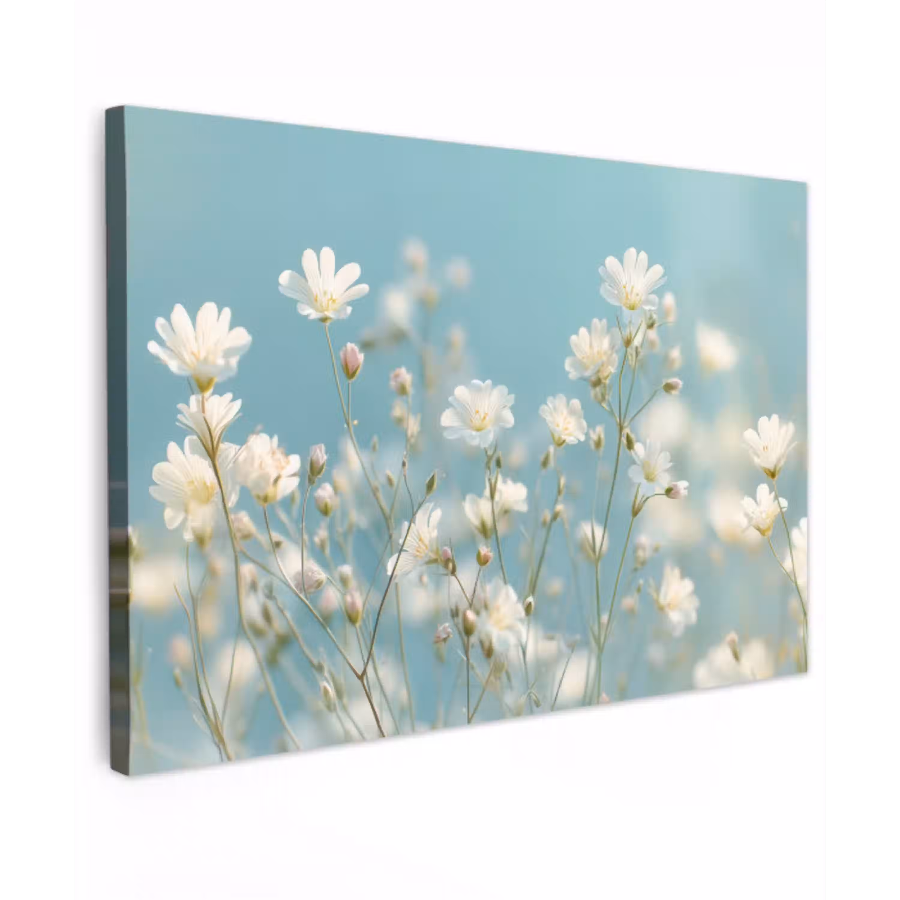 Stängel – Blumen – Luft – Weiß canvas 2cm klein -z3d