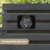 Zwart-wit portret van een leeuw tuinposter los doek klein -sfeer3