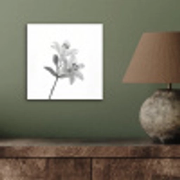 Lelies - Elegant - Zwart - Wit aluminium wit klein -sfeer2