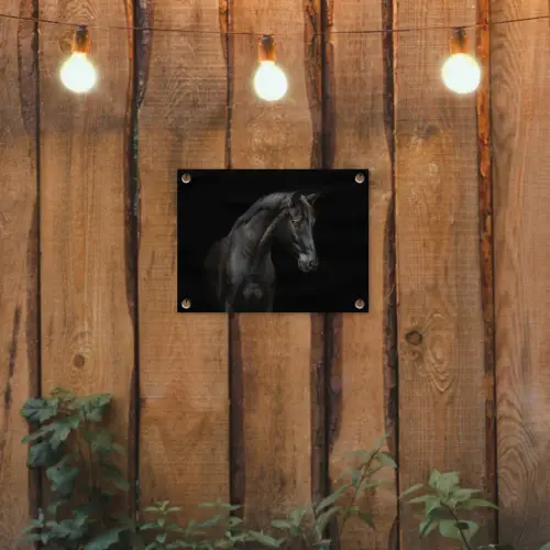 Paard - Dieren - Zwart - Portret tuinposter los doek klein -sfeer1