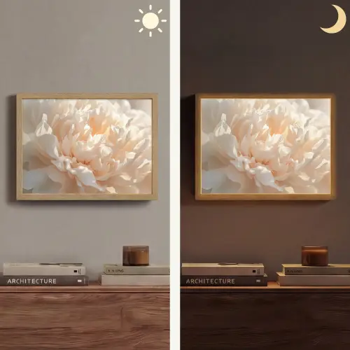 Close up - Pioenroos - Lichtroze Light Box met batterij (Wandlamp) middel -sfeer3