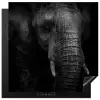 Olifant - Dier - Portret Inductie beschermer vinyl 3mm middel -3d