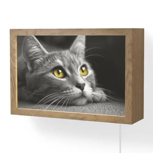Kat - Zwart - Wit - Dieren - Natuur Light Box met kabel (Wandlamp) klein -3d
