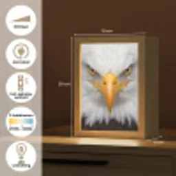 Amerikaans - Zeearend - Portret - Geel Light Box met kabel (Kinderlampje) klein -USP_NL