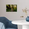 Jungle - Natuur - Trap - Bomen poster papier klein -sfeer3