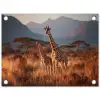Giraffen - Hoog gras - Acaciabomen tuinposter los doek klein -3d