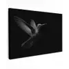 Kolibrie - Zwart - Dieren canvas 2cm klein -z3d