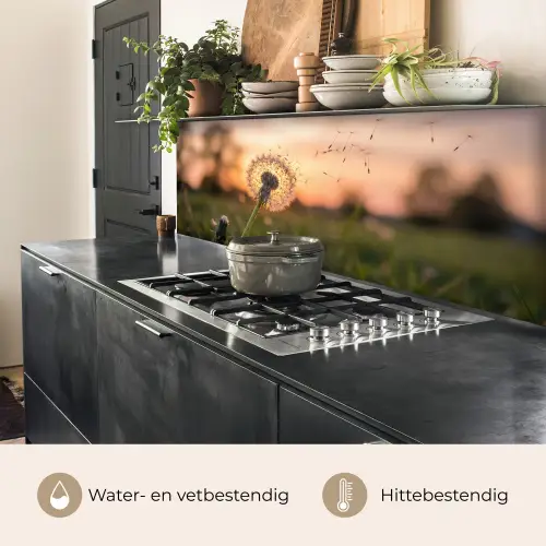 Paardenbloem - Zonsondergang - Veld keuken achterwand 2 middel -usp_NL