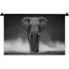 Olifant - Zwart - Wit - Rook Wandkleed katoen klein -zz3d