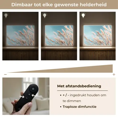 Siergras - Wind - Lichtbruin Light Box met batterij (Wandlamp) middel -USP_dimbaarNL