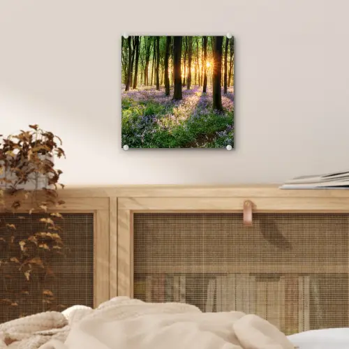 Bos - Bloemen - Lavendel - Zon - Paars - Natuur plexiglas 5mm klein -sfeer4