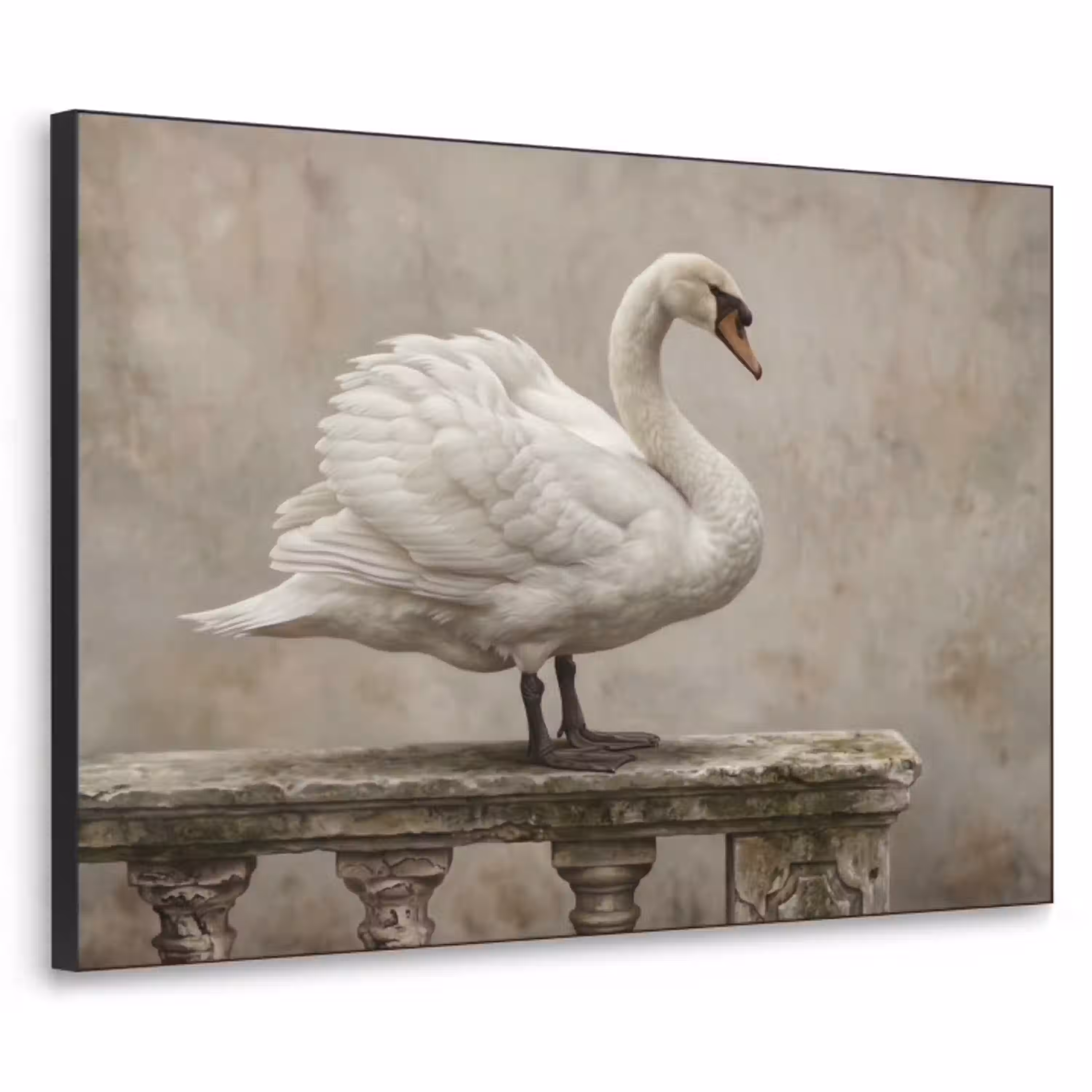 Zwaan - Elegant - Dieren - Wit Textielframe zwart klein -3d