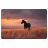 Paard - Wolken - Open veld Placemat vinyl groot -zzsfeer1_Kitchenyeah-website