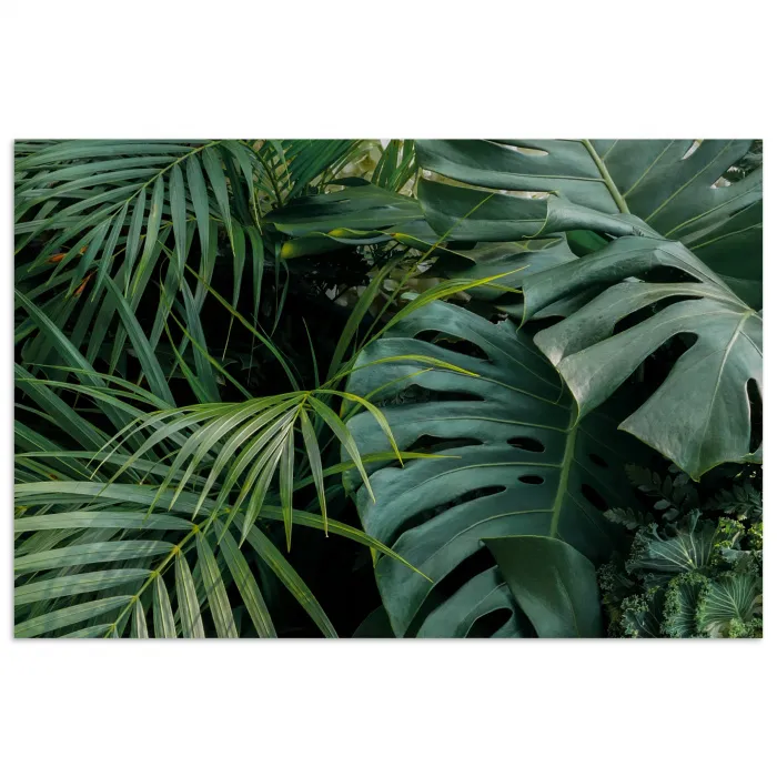 Planten - Jungle - Bladeren - Tropisch poster papier klein -3d